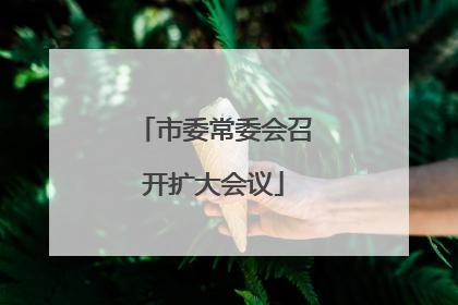 市委常委会召开扩大会议